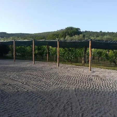 Βίλα Antico Casale 14 Posti Letto Intera In Esclusiva
