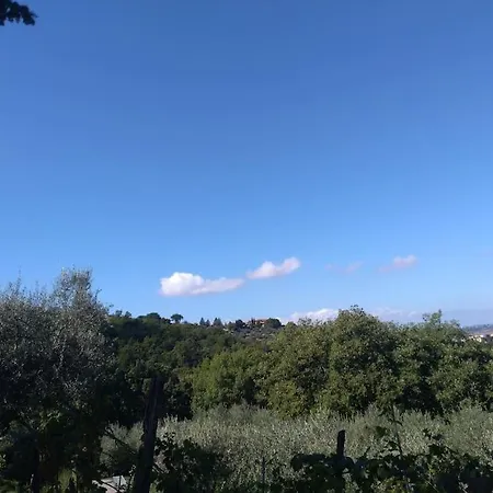 Antico Casale 14 Posti Letto Intera In Esclusiva Βίλα Panicale
