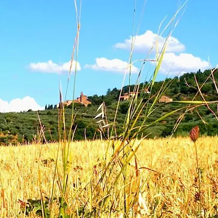 Βίλα Antico Casale 14 Posti Letto Intera In Esclusiva *